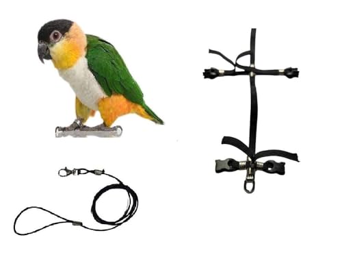 PAPAGALLI Größe Gulet Komfortbänder Elastisches Band 6 mm Farben zur Auswahl, 2 starke, verstellbare Kunststoffverbindungen, 3 mm, Schwarz, 1 m PAPAGALLI Größe Gulet Komfortbänder Elastisches Band 6 mm Farben zur Auswahl, 2 starke, verstellbare Kunststoffverbindungen, 3 mm, Schwarz, 1 m von BLUSUPERSHOP