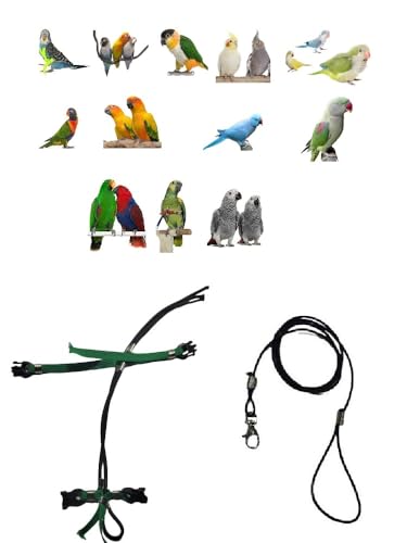Papagalli, Größe von Koorit und Amazonas, Band 6 mm, schwarzes Seil, 3 mm, 2 verstellbare Kunststoffanschlüsse, 1 m + Amulett von BLUSUPERSHOP