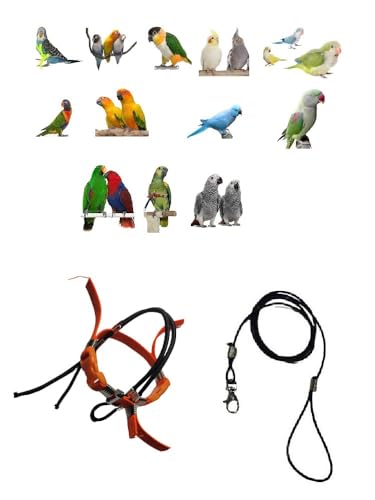 Papagalli 1 Buchstabe von Koorit mit Amazon-Seil 3 mm, 2 verstellbare Kunststoff- oder Metallanschlüsse, Länge 1 m von BLUSUPERSHOP