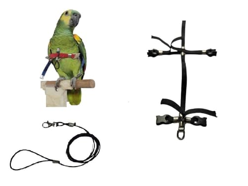 Papagei, Größe Amazonas, bequeme Bänder, elastisch, 6 mm, Farben zur Auswahl, 2 starke, verstellbare Kunststoffverbindungen, 3 mm, Schwarz, 1 m von BLUSUPERSHOP