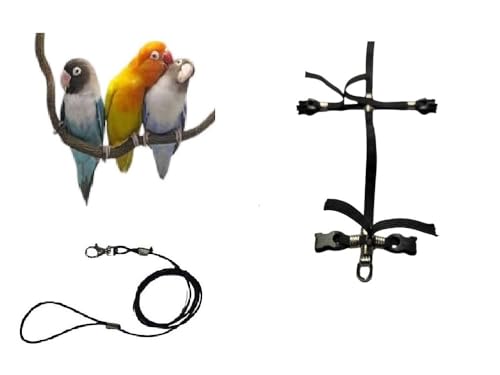 Papagei Größe untrennbar bequeme Bänder elastisches Band 6 mm Farben zur Auswahl, 2 starke, verstellbare Kunststoffverbindungen, 3 mm, Schwarz, 1 m von BLUSUPERSHOP