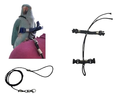 Papagei mit Papageien, Größe der Sittiche aus dem Halsband, 3 mm, elastisches Band und 10 mm Band, 2 Befestigungen, Metall oder Kunststoff, verstellbar, Länge 3 mm, Schwarz, 1 m + Amulett von BLUSUPERSHOP