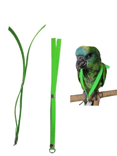 Pre Brustband 10 mm, verstellbarer Hals, passend für Ihren Papagei am Bruststück, Einheitsgröße von Koorit bis Amazon von BLUSUPERSHOP