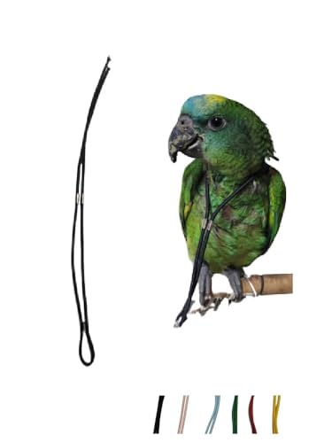 Pre Brustkordel 3 mm, verstellbarer Hals, passend für Ihren Papagei an der Brusttasche, Einheitsgröße von Koordinit bis Amazon von BLUSUPERSHOP