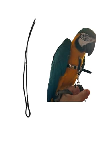 Pre Brusttasche 3 mm verstellbarer Hals, um Ihren Papagei an der Brusttasche zu gewöhnen Einheitsgröße von BLUSUPERSHOP