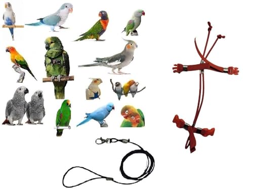 Rote Papageien, Größe von Koorit zu Amazonas, verstellbar, Seil 3 mm, elastisch und 10 mm Band, 2 Befestigungen, Metall oder Kunststoff, verstellbar, Länge 3 mm, Schwarz, 1 m + Amulett von BLUSUPERSHOP