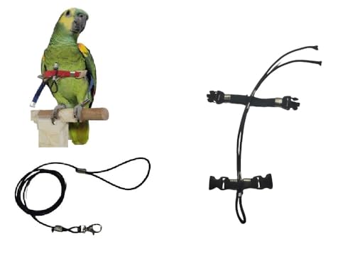 Superangebot Papagei Größe Amazonas Seil 3 mm elastisch und 10 mm Band, 2 Befestigungen, Metall oder Kunststoff, verstellbar, Länge 3 mm, Schwarz, 1 m + Amulett von BLUSUPERSHOP