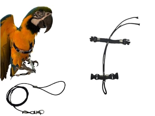 Superangebot Papagei Größe Ara Seil 3 mm elastisch und 10 mm Band, 2 Bindungen, Metall oder Kunststoff, verstellbar, 3 mm, schwarz, 1 m + Amulett von BLUSUPERSHOP