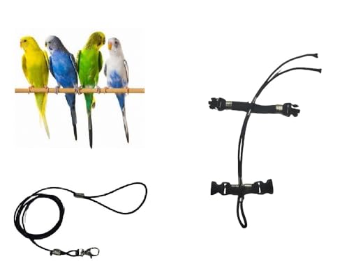 Superangebot Papagei Größe Cocorite Seil 3 mm elastisch und 10 mm Band, 2 Befestigungen, Metall oder Kunststoff, verstellbar, Länge 3 mm, Schwarz, 1 m + Amulett von BLUSUPERSHOP