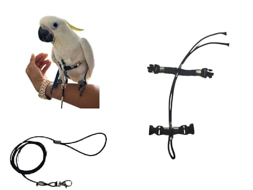 Superangebot Papagei Größe Kakadu Seil 3 mm elastisch und 10 mm Band, 2 Befestigungen, Metall oder Kunststoff, verstellbar, Länge 3 mm, Schwarz, 1 m + Amulett von BLUSUPERSHOP
