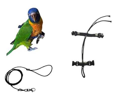 Superangebot Papagei Größe Lori Regenbogen Seil 3 mm elastisch und 10 mm Band, 2 Bindungen, Metall oder Kunststoff, verstellbar, Länge 3 mm, Schwarz, 1 m + Amulett Superangebot Papagei Größe Lori Regenbogen Seil 3 mm elastisch und 10 mm Band, 2 Bindungen, Metall oder Kunststoff, verstellbar, Länge 3 mm, Schwarz, 1 m + Amulett von BLUSUPERSHOP