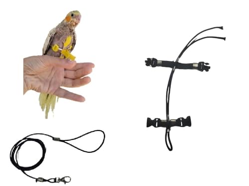Superangebot Papagei Größe Nymphensitenseil 3 mm elastisch und 10 mm Band, 2 Befestigungen, Metall oder Kunststoff, verstellbar, Länge 3 mm, Schwarz, 1 m + Amulett von BLUSUPERSHOP
