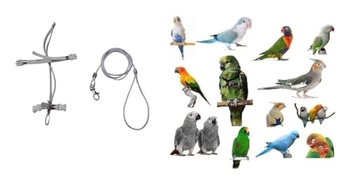 Weißer Papageienkamm für Amazonas und andere Rassen elastisch 10 mm 2 Anschlüsse aus Stahl oder Kunststoff Hals und Leine 3 mm weiß Weißer Papageienkamm für Amazonas und andere Rassen elastisch 10 mm 2 Anschlüsse aus Stahl oder Kunststoff Hals und Leine 3 mm weiß von BLUSUPERSHOP