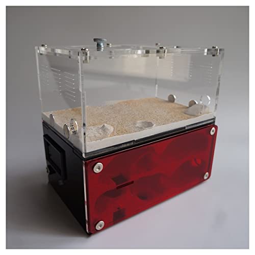 Ameisenfarm Ameisenfarm Aus Beton, Ameisennest Mit Fressplatz, Große Flache Ameisenfarm, Großes Ameisenhaus Und Werkstattschloss 15 X 13,5 X 10cm von BLUVLY