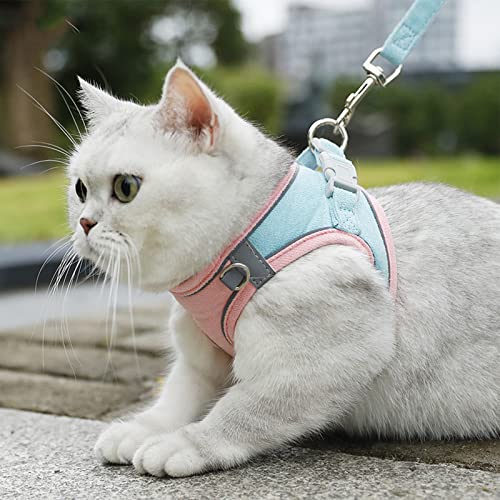 Luminous Cat Vest Harness and Leash Set, Luminous Escape-Proof Cat Vest - Harness and Leash Set (Powder-Blue,L(8-12 kg)) von BMOM