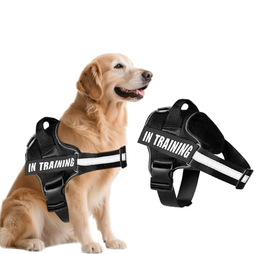 BMYUK Anti-Zieh-Hundegeschirr, reflektierende Elemente, Karabiner-Design, verstellbar, atmungsaktiv, geeignet für Hundespaziergangstraining, Outdoor-Aktivitäten (Schwarz, M) von BMYUK