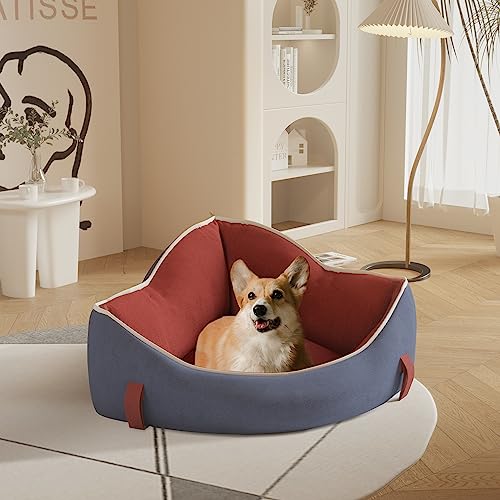 BNCKTRD Hund Katze Haustier Matte Sitz, Haustier Sicherheit Sitz, Tragbare Hund Katze Reisebett Abnehmbar Rot und Blau Wildleder 60 * 60 * 40CM BNCKTRD Hund Katze Haustier Matte Sitz, Haustier Sicherheit Sitz, Tragbare Hund Katze Reisebett Abnehmbar Rot und Blau Wildleder 60 * 60 * 40CM von BNCKTRD