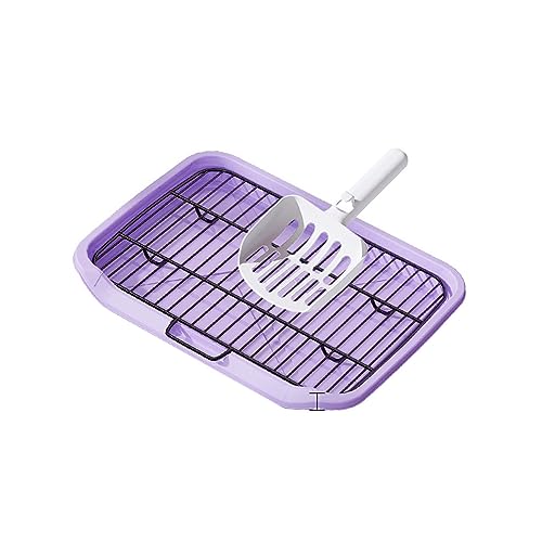 Flachbett-Hundetoilette, spritzwassergeschützt und leicht zu reinigen, 65 * 50 * 6,5cm (Purple) von BNEI