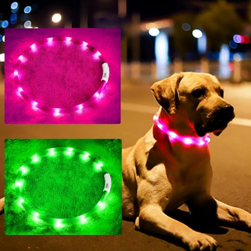LED-Hundehalsband, wiederaufladbar, beleuchtet, für nächtliche Spaziergänge, verbesserte Sicherheit und Sichtbarkeit bei Nacht, 3 Blinkmodi, beleuchtetes Halsband passend für kleine, mittelgroße und LED-Hundehalsband, wiederaufladbar, beleuchtet, für nächtliche Spaziergänge, verbesserte Sicherheit und Sichtbarkeit bei Nacht, 3 Blinkmodi, beleuchtetes Halsband passend für kleine, mittelgroße und von BNGGOGO
