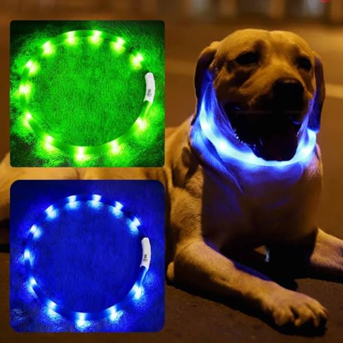 LED-Hundehalsband, wiederaufladbar, beleuchtet, für nächtliche Spaziergänge, verbesserte Sicherheit und Sichtbarkeit bei Nacht, 3 Blinkmodi, beleuchtetes Halsband passend für kleine, mittelgroße und LED-Hundehalsband, wiederaufladbar, beleuchtet, für nächtliche Spaziergänge, verbesserte Sicherheit und Sichtbarkeit bei Nacht, 3 Blinkmodi, beleuchtetes Halsband passend für kleine, mittelgroße und von BNGGOGO