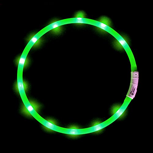 LED-Hundehalsband, wiederaufladbar über USB, blinkend, Sicherheitshalsband, weiches Silikon, wasserdicht, längenverstellbar, Haustier-Halskette mit 3 Blinkmodi, Grün LED-Hundehalsband, wiederaufladbar über USB, blinkend, Sicherheitshalsband, weiches Silikon, wasserdicht, längenverstellbar, Haustier-Halskette mit 3 Blinkmodi, Grün von BNGGOGO