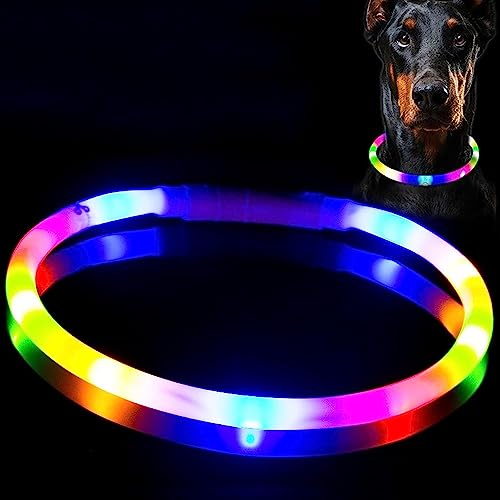 Wiederaufladbares LED-Hundehalsband, wiederaufladbar, leuchtendes Halsband, verbesserte Sicherheit und Sichtbarkeit bei Nacht, 3 Blinkmodi, wasserabweisend, beleuchtetes Halsband, passend für kleine, Wiederaufladbares LED-Hundehalsband, wiederaufladbar, leuchtendes Halsband, verbesserte Sicherheit und Sichtbarkeit bei Nacht, 3 Blinkmodi, wasserabweisend, beleuchtetes Halsband, passend für kleine, von BNGGOGO