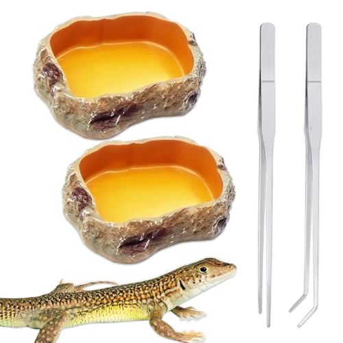 BNGXR Feeding Dish,Futterschale,Reptile Growth Terrarium zubehör, Reptilien Höhle Futternapf,mit pinzette,Futternapf, im Felsdekor, klein,Geeignet für Eidechsen, Hamster,Geckos,Schildkröten BNGXR Feeding Dish,Futterschale,Reptile Growth Terrarium zubehör, Reptilien Höhle Futternapf,mit pinzette,Futternapf, im Felsdekor, klein,Geeignet für Eidechsen, Hamster,Geckos,Schildkröten von BNGXR