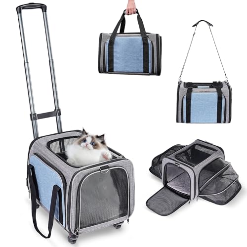 Haustier-Transportbox mit Rollen für Katzen und kleine Hunde: Erweiterbare Fluggesellschaft zugelassene rollende Katzentrage – Katzentrage weich für Haustiere unter 11,8 kg Reise Flugzeug Reise Haustier-Transportbox mit Rollen für Katzen und kleine Hunde: Erweiterbare Fluggesellschaft zugelassene rollende Katzentrage – Katzentrage weich für Haustiere unter 11,8 kg Reise Flugzeug Reise von BNISE