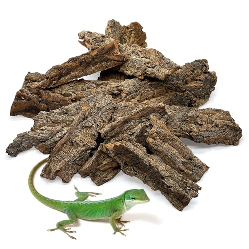 BNOSDM 2 Stück Reptilien-Terrariumrinde Substrat Bettwäsche Schildkröte Naturkork Rinde Reptilien Klettermatte Lebensraum Dekor für Eidechse Schlange Spinnen Einsiedler Krabben Tarantel Geckos BNOSDM 2 Stück Reptilien-Terrariumrinde Substrat Bettwäsche Schildkröte Naturkork Rinde Reptilien Klettermatte Lebensraum Dekor für Eidechse Schlange Spinnen Einsiedler Krabben Tarantel Geckos von BNOSDM