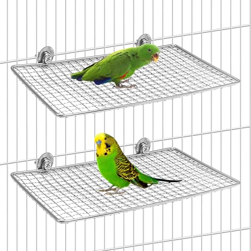 BNOSDM 2 Stück Vogelsitzstange Plattform Edelstahl Vögel Sitzstangen Papageienregal Trainingsständer Kleintiere Käfig Zubehör für Sittiche, Wellensittiche, Sittiche, Nymphensittiche, Nymphensittiche von BNOSDM