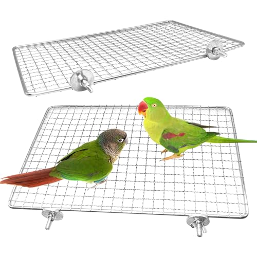 BNOSDM 2 Stück Vogelsitzstange Plattform Edelstahl Vögel Sitzstangen Papageienregal Trainingsständer Kleintiere Käfig Zubehör für Sittiche, Wellensittiche, Sittiche, Nymphensittiche, Nymphensittiche von BNOSDM