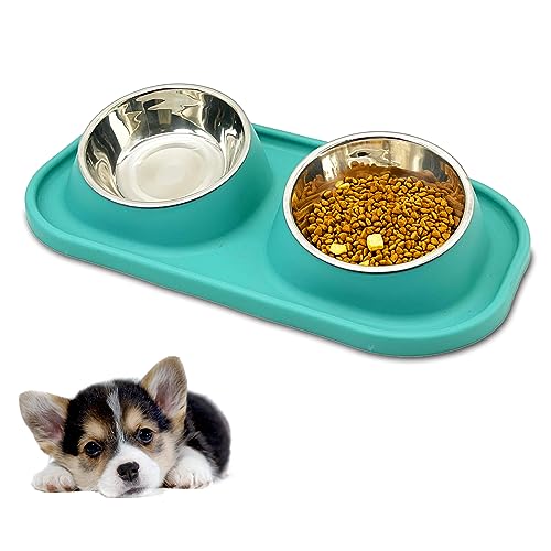 BNOSDM Hundenapf-Set, 2 abnehmbare Edelstahl-Hundenäpfe mit geneigter Matte, auslaufsicher, Doppel-Futterspender für kleine Hunde, Katzen, Welpen, Grün von BNOSDM