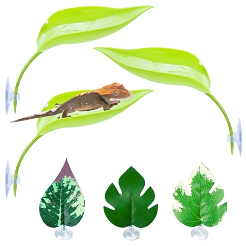 BNOSDM Crested Gecko Tank Zubehör 3 Stück Kunststoff Blatt Dekorationen mit Saugnapf Gecko Kletterspielzeug Frosch Lebensraum Plattform Reptilien Terrarium Dekoration für Baum Frosch Ruheplatz von BNOSDM