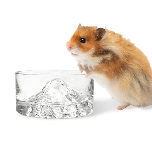 BNOSDM Futter- und Wassernapf für Hamster im Berg-Fuji-Stil, Glas, Trinknapf, Zwerghamster-Futterstation für syrische Hamster, Rennmäuse, Mäuse, Ratten oder andere ähnlich große Haustiere (transparent BNOSDM Futter- und Wassernapf für Hamster im Berg-Fuji-Stil, Glas, Trinknapf, Zwerghamster-Futterstation für syrische Hamster, Rennmäuse, Mäuse, Ratten oder andere ähnlich große Haustiere (transparent von BNOSDM
