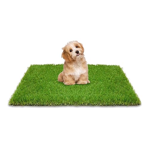 BNOSDM Grasunterlage für Hunde, 120 x 80 cm, waschbar, wiederverwendbar, Haustier-Töpfchen-Trainingsmatte für Hunde, großer Outdoor-Teppich, Terrasse, Rasen-Dekoration von BNOSDM