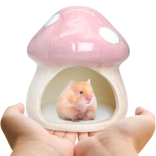 BNOSDM Hamsterversteck aus Keramik, niedliches Pilzform, Hamsterhaus und Lebensraum, kühles Hamsterversteck, geeignet für Syrer, Mäuse, Zwerghamster, Rennmäuse (Rosa) von BNOSDM