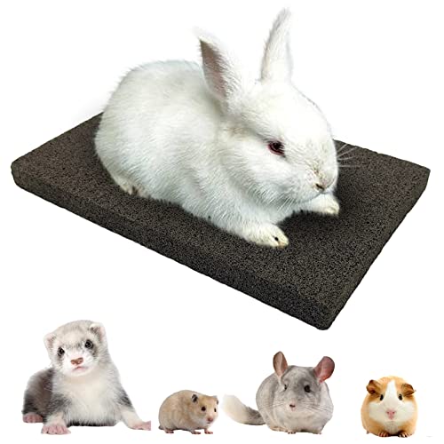 BNOSDM Kaninchen Schleifen Klauenpads, Natürliches Häschen Kratzfuß Pad Hamster Lavastein zum Zähneschleifen Schwarz Meerschweinchen Kratzbrett Kauspielzeug für Frettchen Chinchilla Maus BNOSDM Kaninchen Schleifen Klauenpads, Natürliches Häschen Kratzfuß Pad Hamster Lavastein zum Zähneschleifen Schwarz Meerschweinchen Kratzbrett Kauspielzeug für Frettchen Chinchilla Maus von BNOSDM