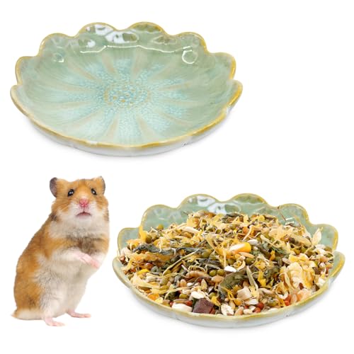 BNOSDM Keramik-Futter- und Wassernapf für Hamster, Sonnenblumen-Serie, Chinchillas, Futternapf, Trinkschalen für syrische Zwerghamster, Rennmäuse, Grün, 2 Stück BNOSDM Keramik-Futter- und Wassernapf für Hamster, Sonnenblumen-Serie, Chinchillas, Futternapf, Trinkschalen für syrische Zwerghamster, Rennmäuse, Grün, 2 Stück von BNOSDM