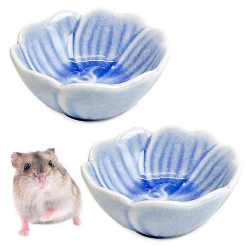 BNOSDM Keramik-Futternapf für Hamster, Blumen-Serie, Rennmaus, Trinkschüssel, Anti-Dreh-Futter- und Wasserschale für syrische Zwerghamster, Rennmäuse, Chinchilla, Blau, Narzissen-Muster, 2 Stück von BNOSDM