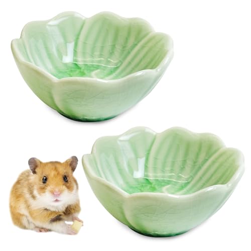 BNOSDM Keramik-Futternapf für Hamster, Blumen-Serie, Rennmaus, Trinkschüssel, Anti-Dreh-Futter- und Wasserschale für syrische Zwerghamster, Rennmäuse, Chinchilla, Grün, Narzissen-Muster, 2 Stück von BNOSDM