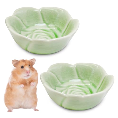 BNOSDM Keramik-Futternapf für Hamster, Blumen-Serie, Rennmaus, Trinkschüssel, Anti-Dreh-Futter- und Wasserschale für syrische Zwerghamster, Rennmäuse, Chinchilla, Grün, Rosenmuster, 2 Stück von BNOSDM