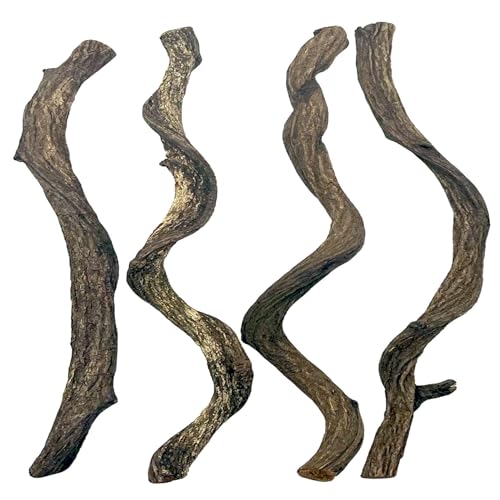 BNOSDM Kletterzweig für Reptilien, Wald, Dekoration, Gecko, Kletterholz, natürliche Zweige, Baum für Schlange, Frosch, Chamäleon, Spinne, Bartagame, Terrarium, Lebensraum, Tankzubehör, 4 Stück BNOSDM Kletterzweig für Reptilien, Wald, Dekoration, Gecko, Kletterholz, natürliche Zweige, Baum für Schlange, Frosch, Chamäleon, Spinne, Bartagame, Terrarium, Lebensraum, Tankzubehör, 4 Stück von BNOSDM