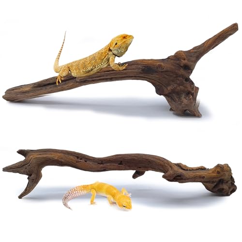 BNOSDM Kletterzweige für Reptilien, natürliche Korallen, Treibholzzweige, Dekoration, Eidechse, Lebensraum, Dekoration, Zubehör, Terrarium, Baumstamm, Ornament für Bartagamen, Gecko, Frosch, BNOSDM Kletterzweige für Reptilien, natürliche Korallen, Treibholzzweige, Dekoration, Eidechse, Lebensraum, Dekoration, Zubehör, Terrarium, Baumstamm, Ornament für Bartagamen, Gecko, Frosch, von BNOSDM