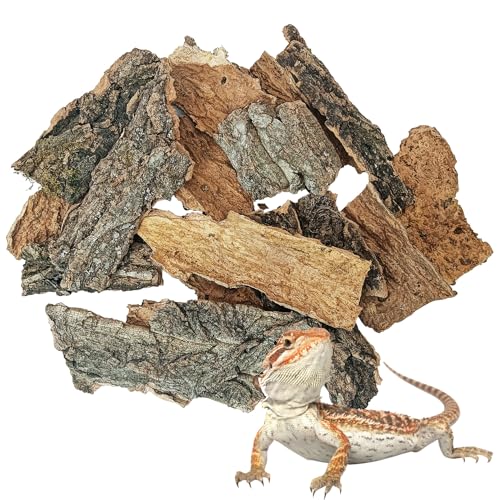 BNOSDM Korkrindensubstrat für Reptilien, 284 g, Schildkröten-Einstreu für Lebensraum, natürliches flaches Korkholz, Bulk-Terrarium, wiederverwendbar, Champagnerrinde für Eidechse, Gecko, Spinne von BNOSDM