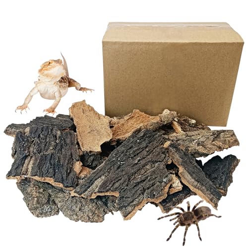 BNOSDM Korkrindensubstrat für Reptilien, 473 g, Schildkröten-Einstreu für Lebensraum, natürliches flaches Korkholz, Bulk-Terrarium, wiederverwendbar, Champagnerrinde für Eidechse, Gecko, Spinne von BNOSDM