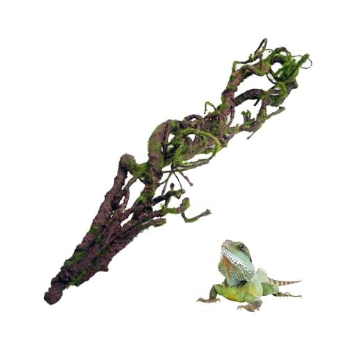 BNOSDM Reptilien-Bend-A-Branch Reben mit Moos, biegbar, Dschungel-Kletterrebe, Haustier-Lebensraum, Dekoration für Bartdrachen, Chamäleon, Geckos, Schlangen, Eidechsen, Frösche BNOSDM Reptilien-Bend-A-Branch Reben mit Moos, biegbar, Dschungel-Kletterrebe, Haustier-Lebensraum, Dekoration für Bartdrachen, Chamäleon, Geckos, Schlangen, Eidechsen, Frösche von BNOSDM