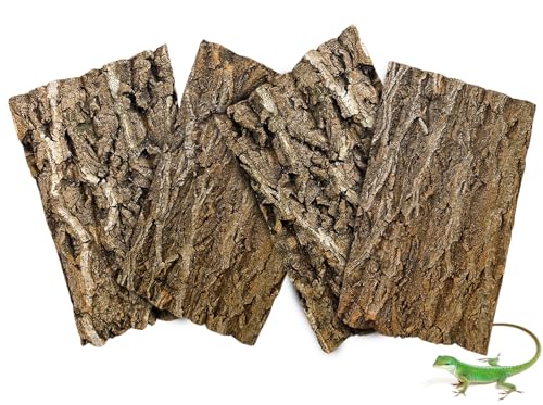 BNOSDM Reptilien-Korken-Terrarium, Hintergrund, Bartdrache, Tank-Dekoration für Eidechse, Bartagame, Frosch, Leopard, Gecko, Schildkröte, Schlange und Chamäleon, 4 Stück BNOSDM Reptilien-Korken-Terrarium, Hintergrund, Bartdrache, Tank-Dekoration für Eidechse, Bartagame, Frosch, Leopard, Gecko, Schildkröte, Schlange und Chamäleon, 4 Stück von BNOSDM