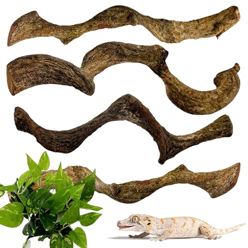 BNOSDM Reptilienzweige, Schlangenkletterzweig, Terrarium-Kletter-Dekoration, natürlicher Waldzweig Dekoration für Eidechsen, Geckos, Chamäleons, Frösche (4 Stück, 1,9–3,2 cm D, 33 cm L) von BNOSDM