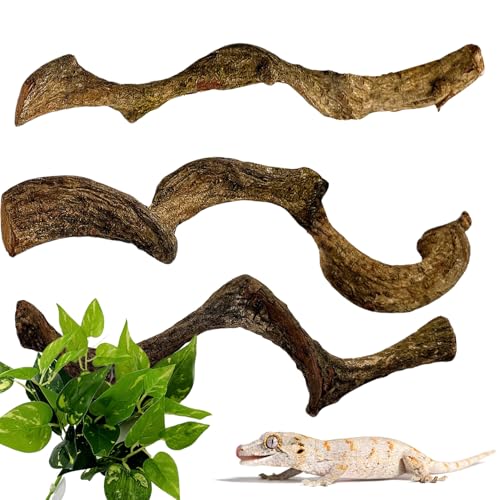 BNOSDM Reptilienzweige, Schlangenkletterzweig, Terrarium-Kletterdekoration, natürlicher Waldzweig Dekoration für Eidechsen, Geckos, Chamäleons, Frösche (3 Stück, 1,9–3,2 cm D, 33 cm L) von BNOSDM
