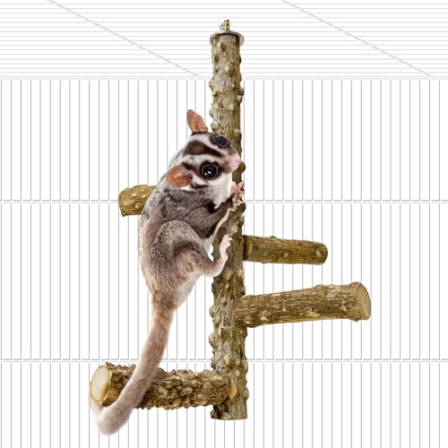 BNOSDM Sugar Glider Spielzeug Natürliche Stachelige Esche Holz Sitzstange Ständer Eichhörnchen Hängende Holz Kletterstange Hamster Pfote Schleifen Sitzstange Kleintierkäfig Zubehör für Chinchillas von BNOSDM